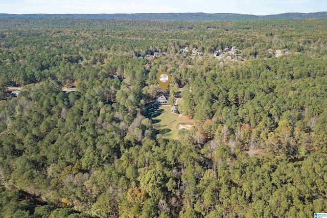 401 El Camino Real, Chelsea, AL 35043 - aerial view of property's location with a forest
