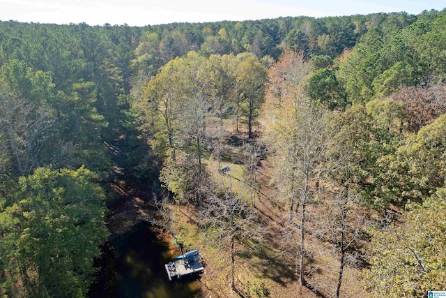 401 El Camino Real, Chelsea, AL 35043 - aerial view of a forest