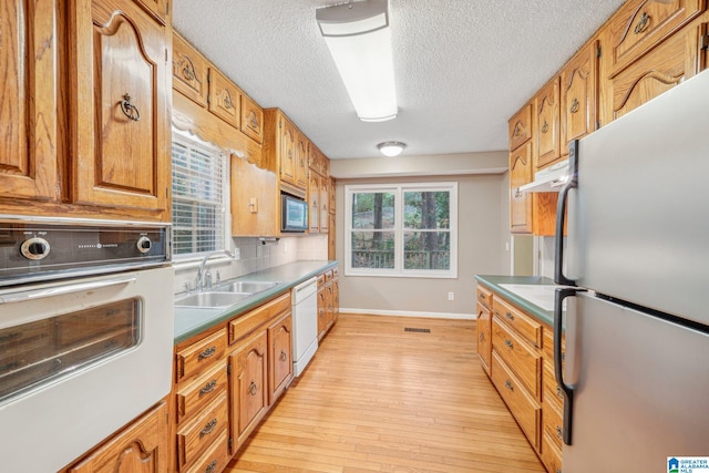 kitchen featuring appliances with stainless steel finishes, light hardwood / wood-style floors, sink, and plenty of natural light