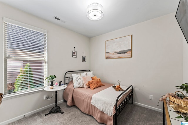 bedroom with carpet flooring