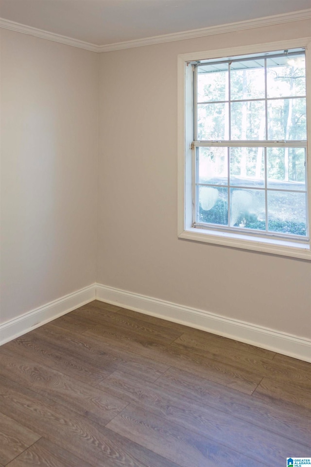 unfurnished room featuring dark hardwood / wood-style flooring and crown molding