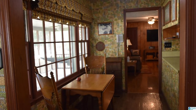 dining room featuring ceiling fan, dark hardwood / wood-style flooring, and wood walls