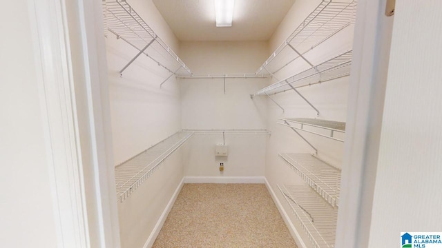 spacious closet with carpet floors