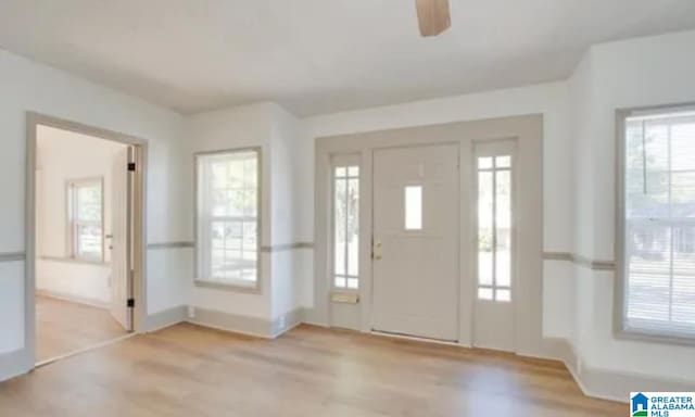 entrance foyer featuring a healthy amount of sunlight and light hardwood / wood-style floors