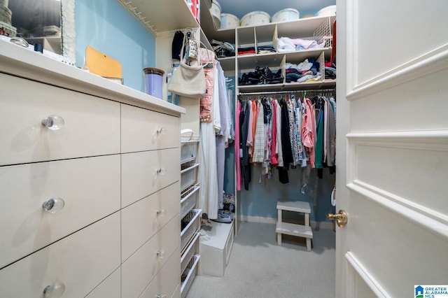 walk in closet with carpet floors