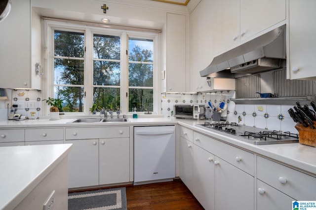 kitchen with white cabinetry, dishwasher, and dark wood-type flooring