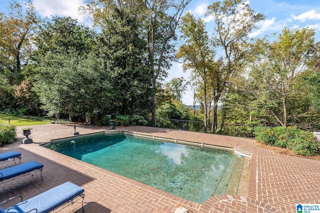 view of pool featuring a patio area