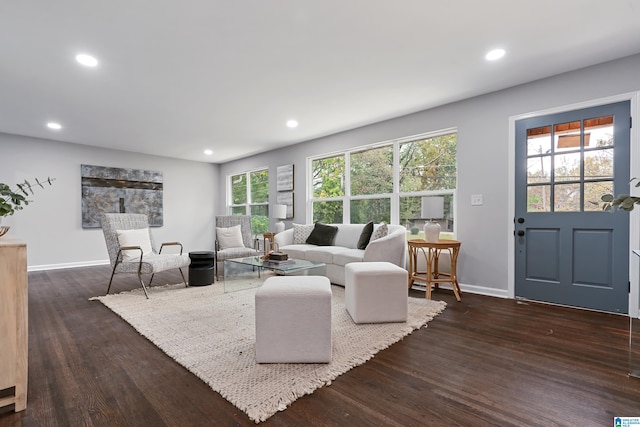 living room with a wealth of natural light and dark hardwood / wood-style floors