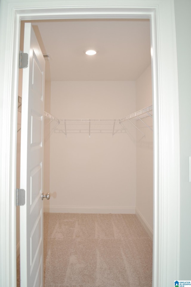 spacious closet featuring light colored carpet