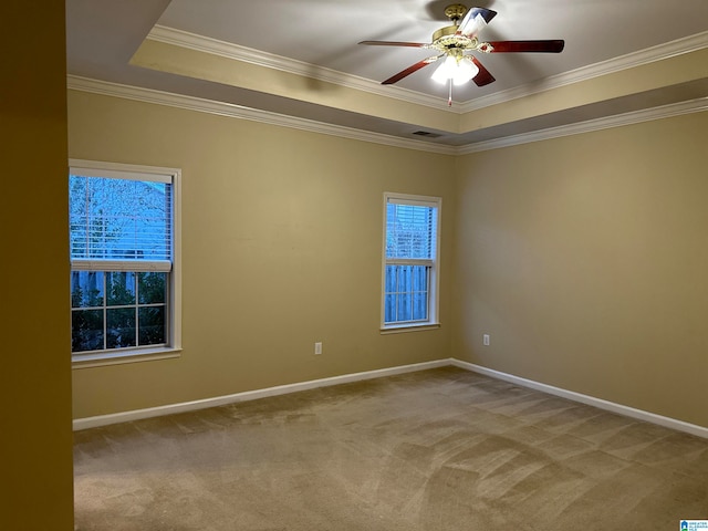 spare room featuring a raised ceiling, ornamental molding, and light carpet