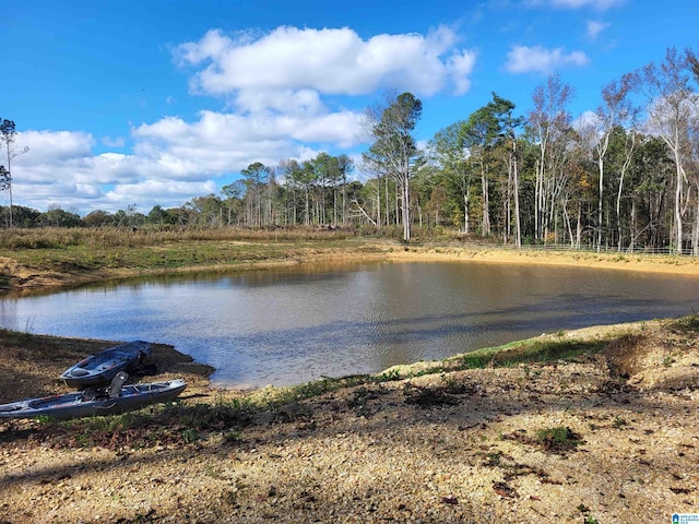 view of water feature