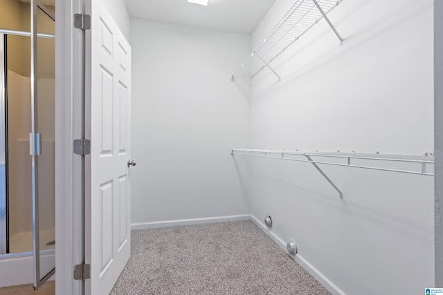 walk in closet featuring carpet floors