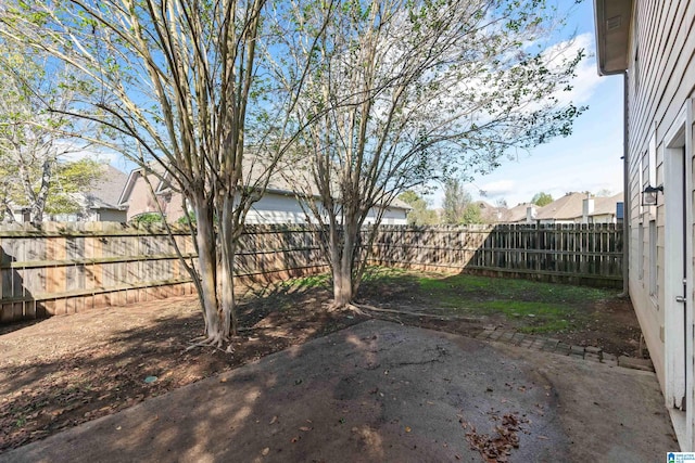 view of yard featuring a patio area