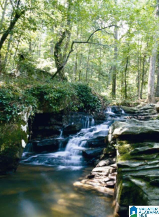 view of water feature featuring a wooded view