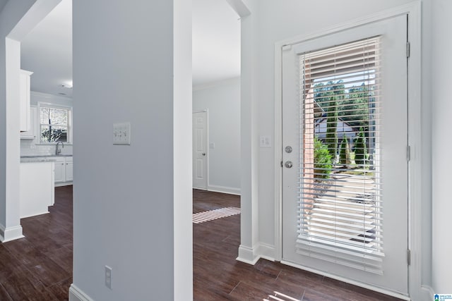 entryway featuring crown molding and dark wood-type flooring