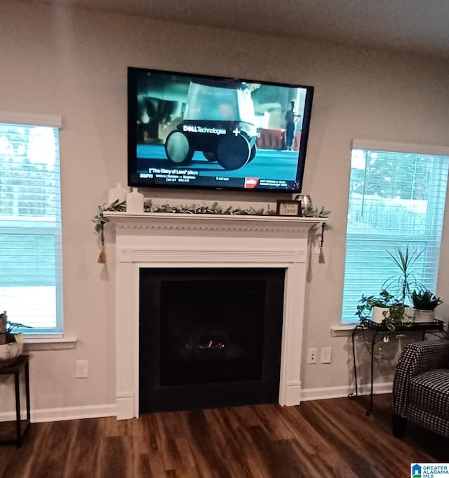 room details featuring a fireplace, wood finished floors, and baseboards