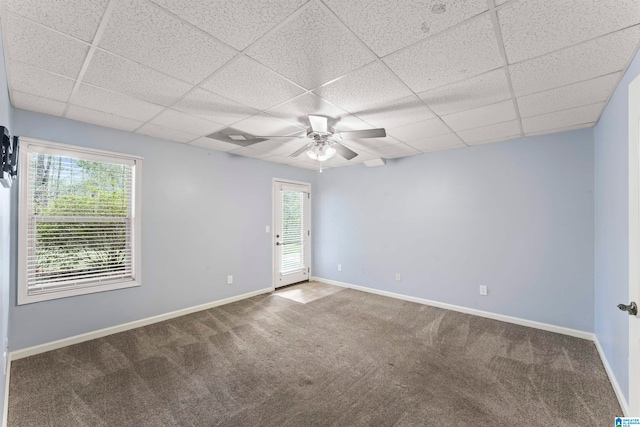 carpeted spare room featuring ceiling fan, a drop ceiling, and a healthy amount of sunlight