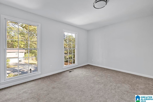 empty room with carpet and plenty of natural light