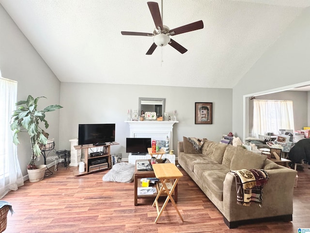 living room featuring hardwood / wood-style flooring and a textured ceiling