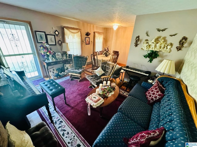 living room featuring a fireplace and a textured ceiling