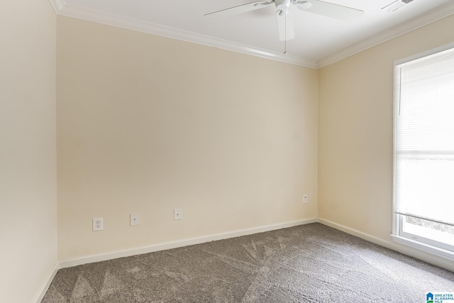 empty room featuring ceiling fan, carpet floors, and ornamental molding