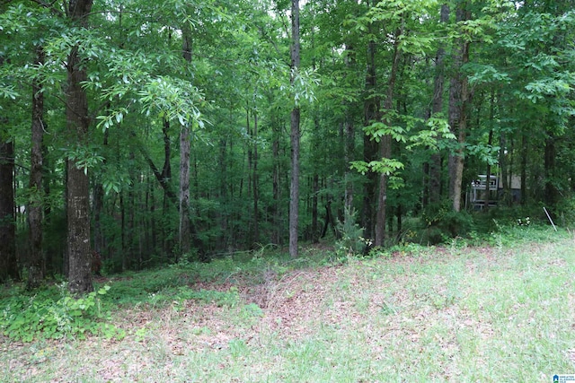 551 Poplar Pl, Wedowee, AL 36278 - view of wooded area