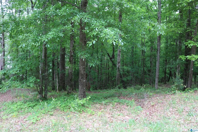 551 Poplar Pl, Wedowee, AL 36278 - view of wooded area