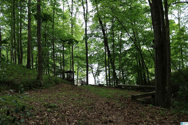551 Poplar Pl, Wedowee, AL 36278 - view of tree filled area