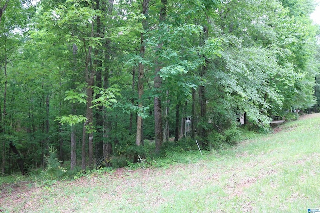 551 Poplar Pl, Wedowee, AL 36278 - view of tree filled area