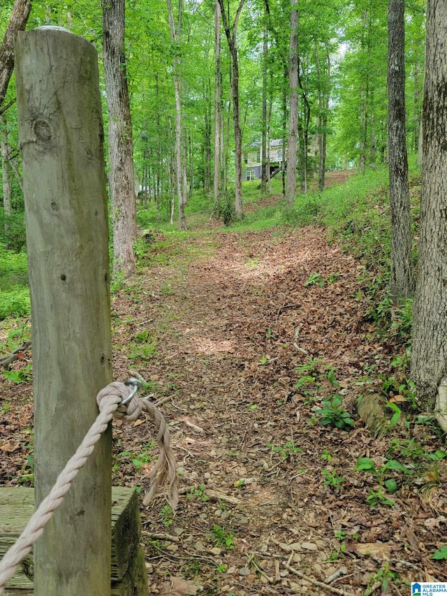 551 Poplar Pl, Wedowee, AL 36278 - view of woods