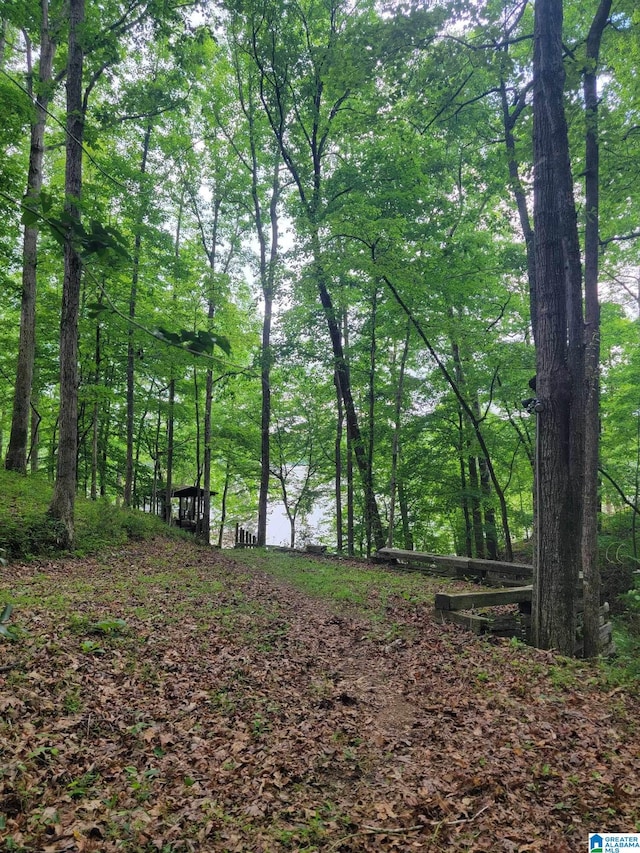 551 Poplar Pl, Wedowee, AL 36278 - view of tree filled area