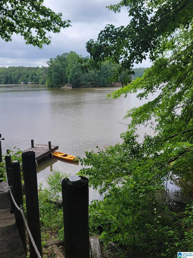 551 Poplar Pl, Wedowee, AL 36278 - water view featuring a boat dock and a heavily wooded area