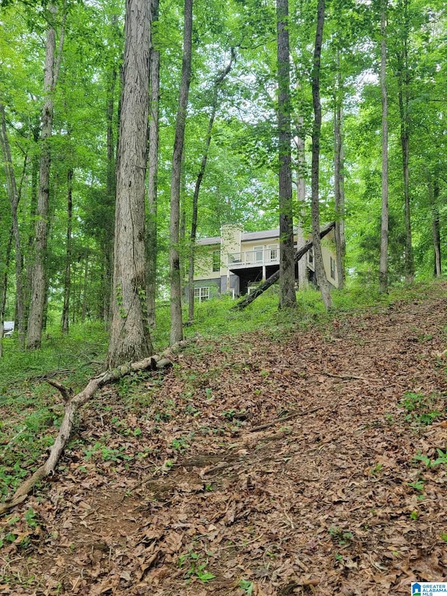551 Poplar Pl, Wedowee, AL 36278 - view of yard with a wooded view
