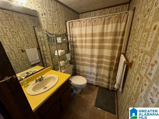 bathroom featuring vanity, toilet, and curtained shower