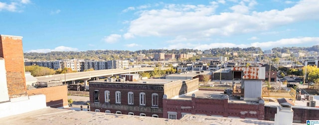 2301 1st Ave N Unit 203, Birmingham, AL 35203 - city view