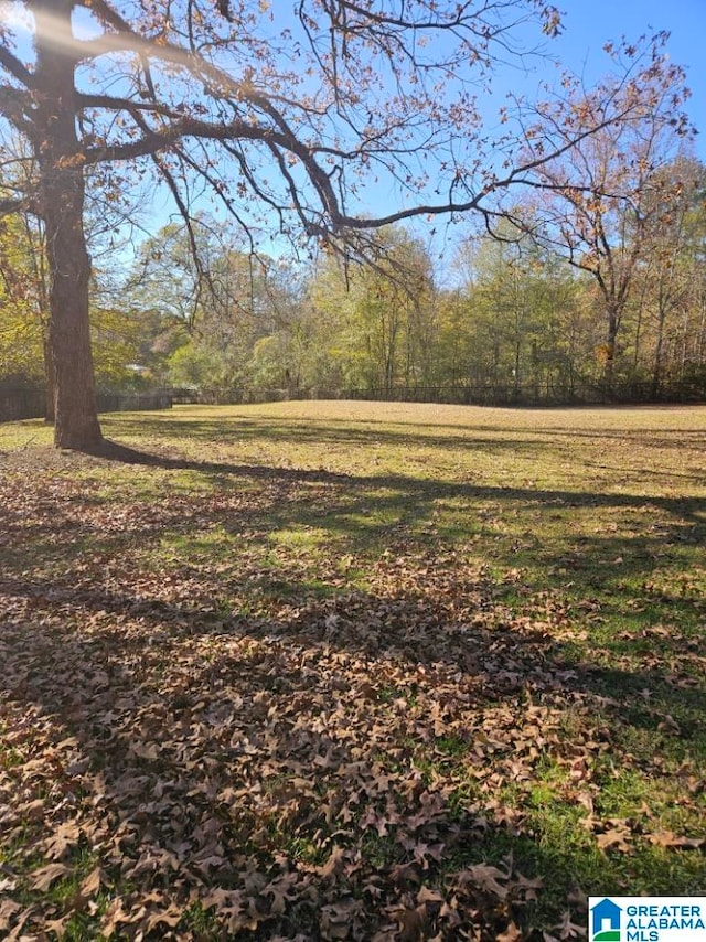 view of local wilderness