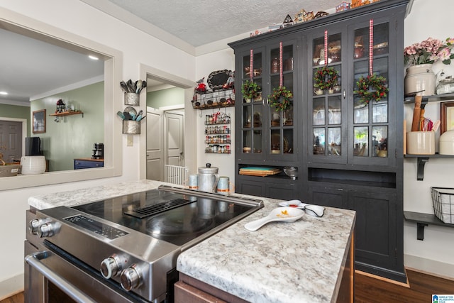 923 Cogswell Ave, Pell City, AL 35125 - kitchen featuring stainless steel stove, dark wood-style flooring, baseboards, glass insert cabinets, and a textured ceiling