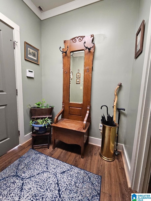 entrance foyer featuring dark wood-type flooring