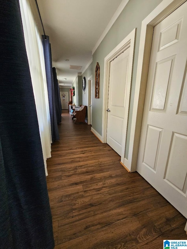 hallway featuring crown molding and dark wood-type flooring