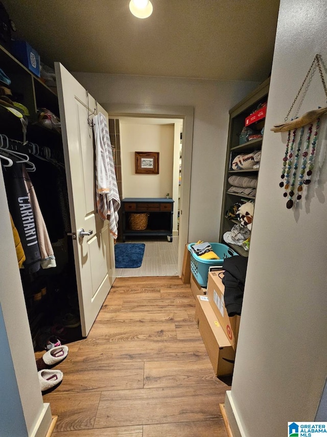 spacious closet featuring light wood-type flooring