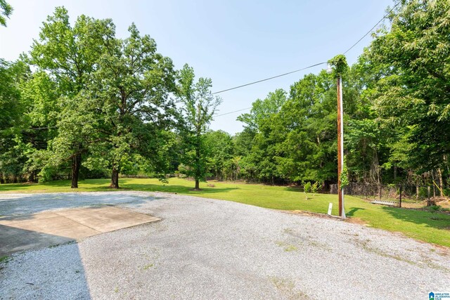 923 Cogswell Ave, Pell City, AL 35125 - view of green lawn