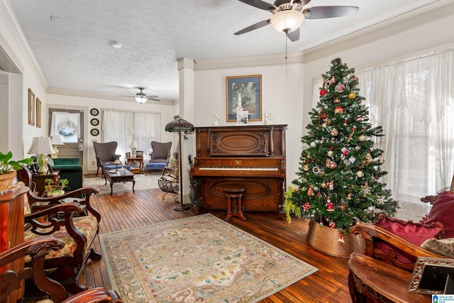 923 Cogswell Ave, Pell City, AL 35125 - living area with ceiling fan, hardwood / wood-style floors, ornamental molding, and a textured ceiling