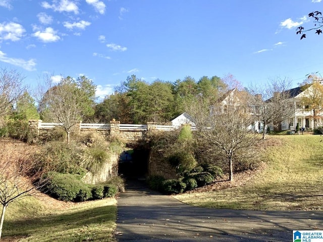 186 Barimore Blvd, Helena, AL 35080 - view of street