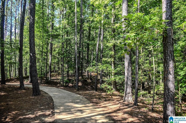186 Barimore Blvd, Helena, AL 35080 - view of property's community featuring a view of trees