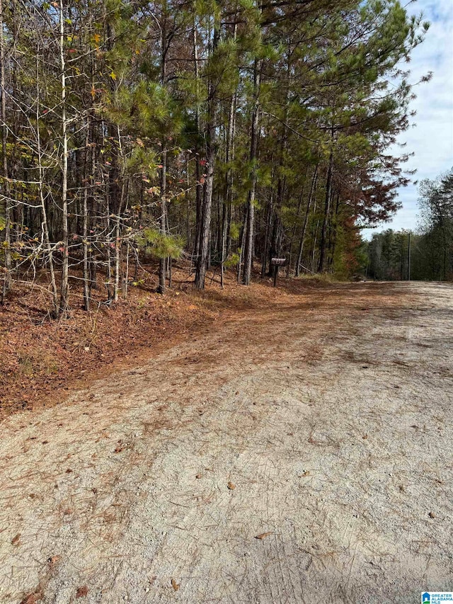 Listing photo 2 for 0 Gobbler Creek Rd Unit 0, Delta AL 36258