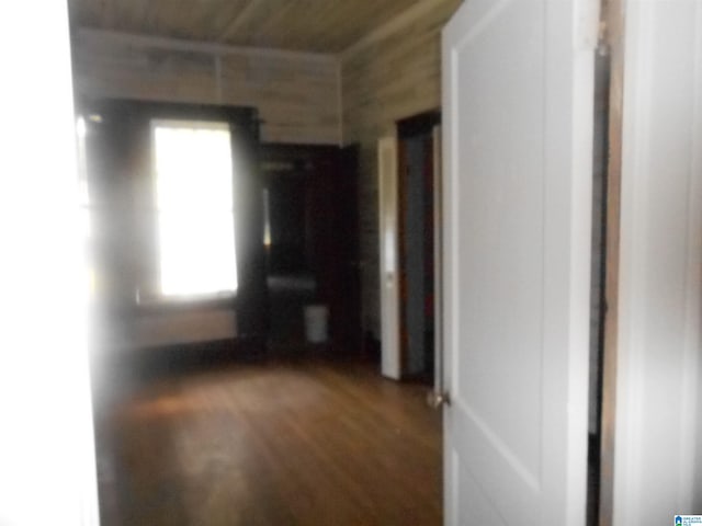 corridor with wood-type flooring and wooden walls