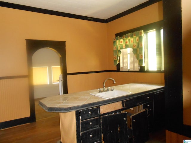 bathroom featuring wood-type flooring, ornamental molding, and sink