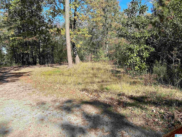 0 County Road 1193, Vinemont AL, 35179 land for sale