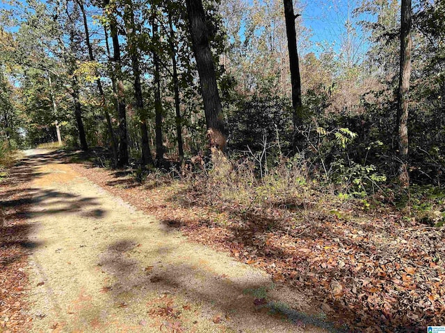 Listing photo 2 for 0 County Road 1193, Vinemont AL 35179