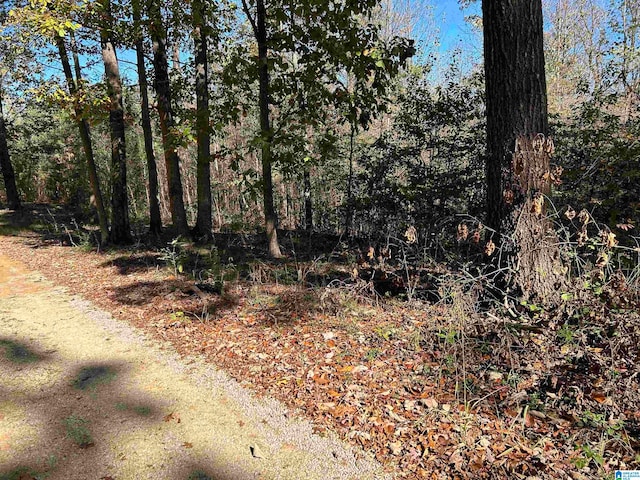 Listing photo 3 for 0 County Road 1193, Vinemont AL 35179